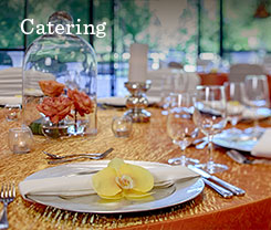 Catering